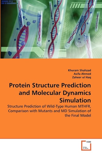 Protein Structure Prediction and Molecular Dynamics Simulation: Structure Prediction of Wild-Type Human MTHFR, Comparison with Mutants and MD Simulation of the Final Model