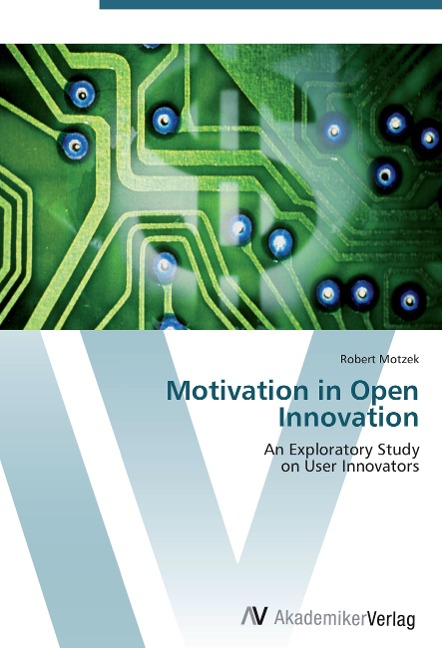 Motivation in Open Innovation: An Exploratory Study  on User Innovators