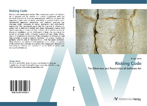 Risking Code: The Dilemmas and Possibilities of Software Art