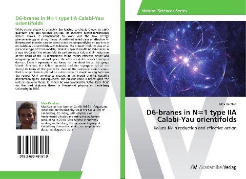 D6-branes in N=1 type IIA Calabi-Yau orientifolds: Kaluza-Klein reduction and effective action