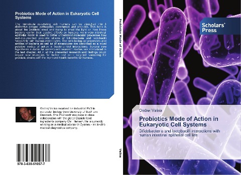 Probiotics Mode of Action in Eukaryotic Cell Systems: Bifidobacteria and lactobacilli interactions with human intestinal epithelial cell line