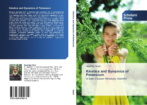 Kinetics and Dynamics of Potassium: In Soils of Lesser Himalayas (Kashmir)