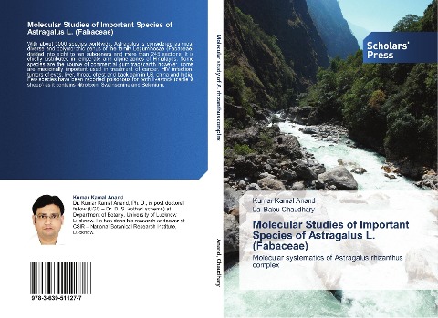 Molecular Studies of Important Species of Astragalus L. (Fabaceae): Molecular systematics of Astragalus rhizanthus complex