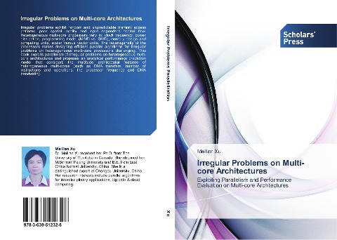 Irregular Problems on Multi-core Architectures: Exploiting Parallelism and Performance Evaluation on Multi-core Architectures