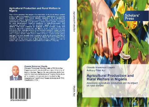 Agricultural Production and Rural Welfare in Nigeria: Assessing agricultural production and its impact on rural welfare