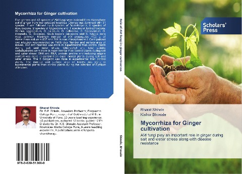 Mycorrhiza for Ginger cultivation: AM fungi play an important role in ginger during salt and water stress along with disease resistance