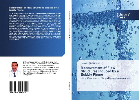 Measurement of Flow Structures Induced by a Bubbly Plume: Using Visualization, PIV and Image Measurement