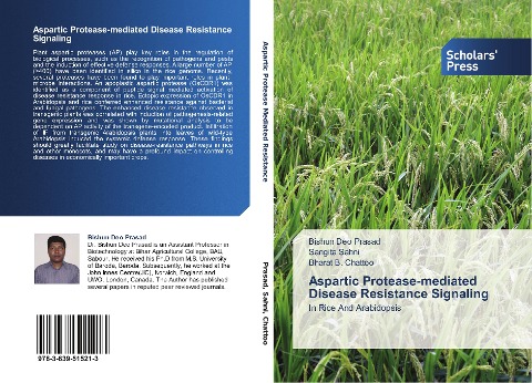 Aspartic Protease-mediated Disease Resistance Signaling: In Rice And Arabidopsis
