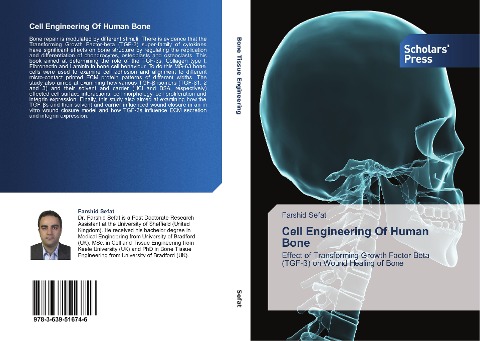 Cell Engineering Of Human Bone: Effect of Transforming Growth Factor Beta (TGF-¿) on Wound Healing of Bone