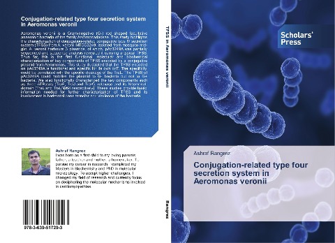 Conjugation-related type four secretion system in Aeromonas veronii
