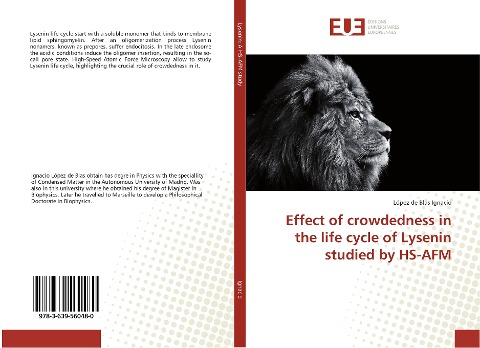 Effect of crowdedness in the life cycle of Lysenin studied by HS-AFM