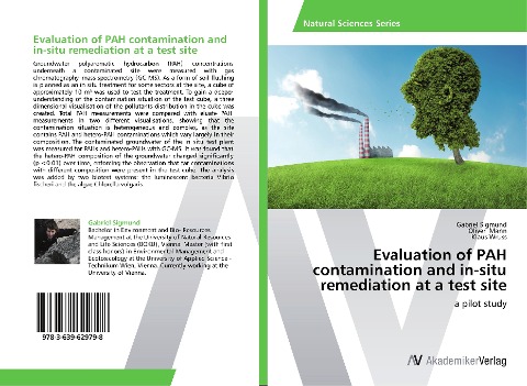 Evaluation of PAH contamination and in-situ remediation at a test site: a pilot study