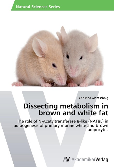 Dissecting metabolism in brown and white fat: The role of N-Acetyltransferase 8-like (NAT8L) in adipogenesis of primary murine white and brown adipocytes