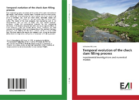Temporal evolution of the check dam filling process: Experimental investigations and numerical models