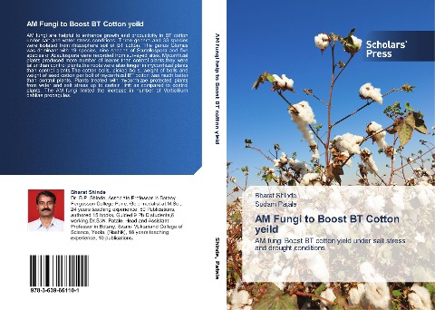 AM Fungi to Boost BT Cotton yeild: AM fungi Boost BT cotton yield under salt stress and drought conditions