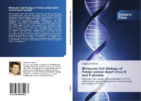 Molecular Cell Biology of Potato yellow dwarf virus N and P protein: Molecular and cellular characterization of PYDV nucleocapsid and phosphoprotein; Understanding the biology of PYDV