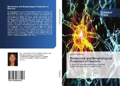 Mechanical and Morphological Properties of Neurons: A study on morphological and dynamical properties of neuronal growth cones