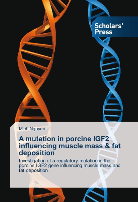 A mutation in porcine IGF2 influencing muscle mass & fat deposition: Investigation of a regulatory mutation in the porcine IGF2 gene influencing muscle mass and fat deposition