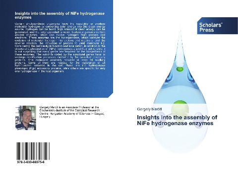 Insights into the assembly of NiFe hydrogenase enzymes
