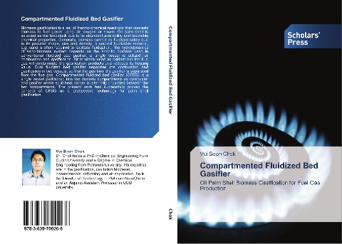 Compartmented Fluidized Bed Gasifier: Oil Palm Shell Biomass Gasification for Fuel Gas Production