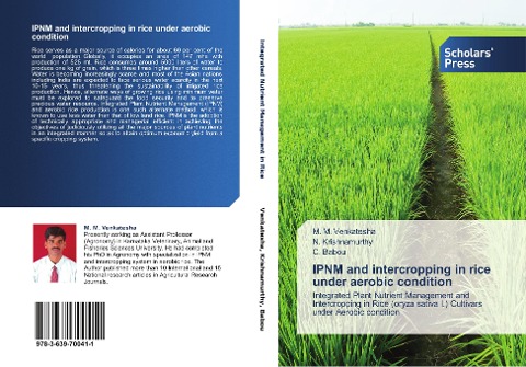 IPNM and intercropping in rice under aerobic condition: Integrated Plant Nutrient Management and Intercropping in Rice (oryza sativa l.) Cultivars under Aerobic condition