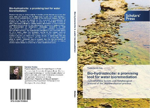 Bio-hydrozincite: a promising tool for water bioremediation: Hydrochemical factors and morphological features of the biomineralization process