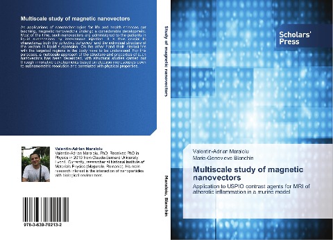 Multiscale study of magnetic nanovectors: Application to USPIO contrast agents for MRI of atherotic inflammation in a murine model