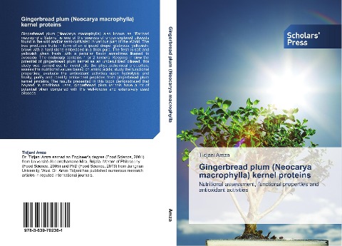 Gingerbread plum (Neocarya macrophylla) kernel proteins: Nutritional assessment, functional properties and antioxidant activities