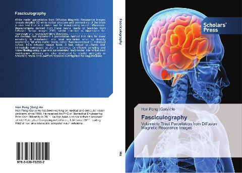Fasciculography: Volumetric Tract Parcellation from Diffusion Magnetic Resonance Images