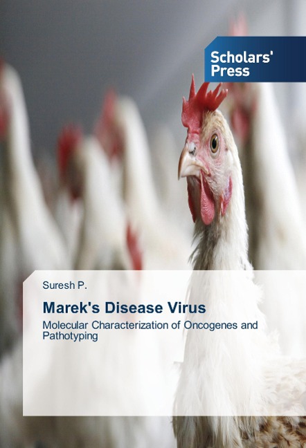 Mareks Disease Virus: Molecular Characterization of Oncogenes and Pathotyping
