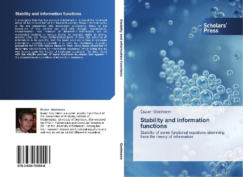 Stability and information functions: Stability of some functional equations stemming from the theory of information
