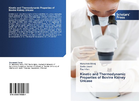 Kinetic and Thermodynamic Properties of Bovine Kidney Uricase