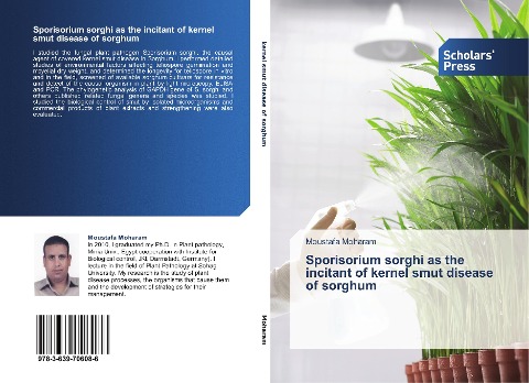 Sporisorium sorghi as the incitant of kernel smut disease of sorghum