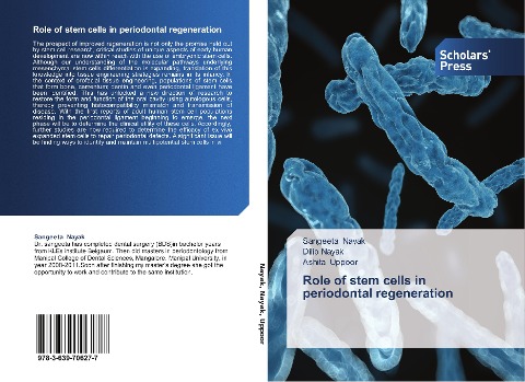 Role of stem cells in periodontal regeneration