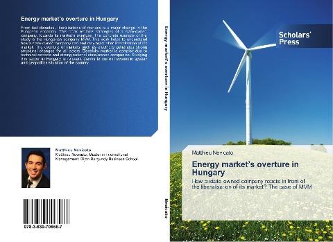 Energy markets overture in Hungary: How a state-owned company reacts in front of the liberalisation of its market? The case of MVM