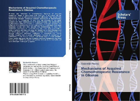 Mechanisms of Acquired Chemotherapeutic Resistance in Gliomas