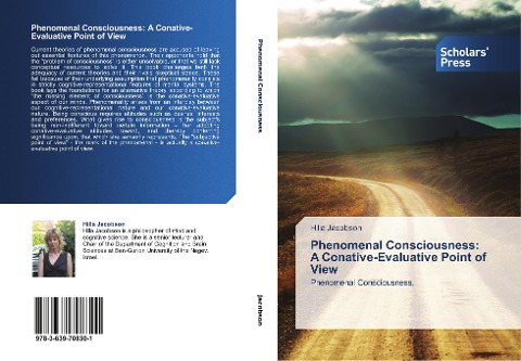 Phenomenal Consciousness:  A Conative-Evaluative Point of View: Phenomenal Consciousness.