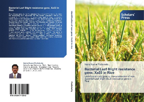 Bacterial Leaf Blight resistance gene, Xa33 in Rice: Identification and genetic characterization of new Bacertial Leaf Blight (BLB) resistance gene in Rice