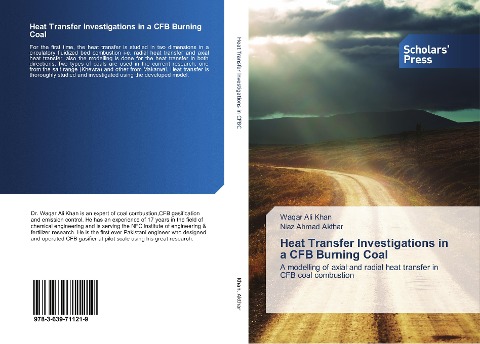 Heat Transfer Investigations in a CFB Burning Coal: A modelling of axial and radial heat transfer in CFB coal combustion