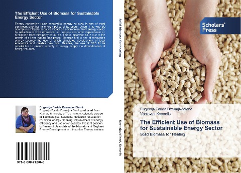 The Efficient Use of Biomass for Sustainable Energy Sector: Solid Biomass for Heating