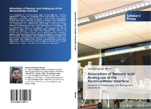 Adsorption of Benzoic acid Analogues at the Alumina/Water Interface: Influence of Functionality and Background Electrolytes