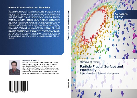 Particle Fractal Surface and Floatabilty: Experimental and Theoretical Approach