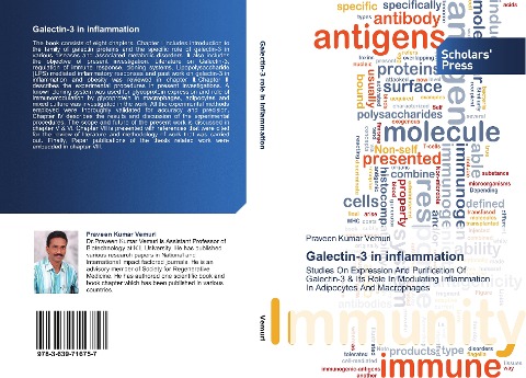 Galectin-3 in inflammation: Studies On Expression And Purification Of Galectin-3 & Its Role In Modulating Inflammation In Adipocytes And Macrophages