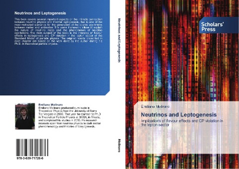Neutrinos and Leptogenesis: Implications of flavour effects and CP violation in the lepton sector