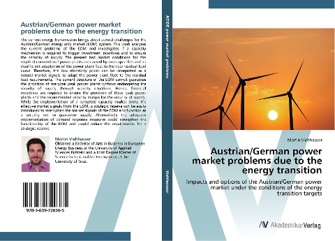 Austrian/German power market problems due to the energy transition: Impacts and options of the Austrian/German power market under the conditions of the energy transition targets