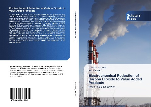 Electrochemical Reduction of Carbon Dioxide to Value Added Products: Role of Solid Electrolyte