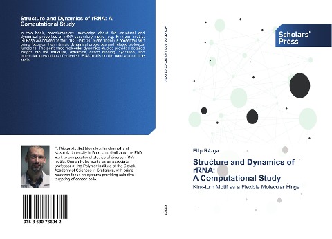Structure and Dynamics of rRNA: A Computational Study: Kink-turn Motif as a Flexible Molecular Hinge