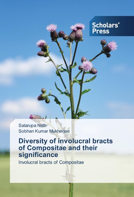 Diversity of involucral bracts of Compositae and their significance: Involucral bracts of Compositae