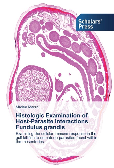 Histologic Examination of Host-Parasite Interactions Fundulus grandis: Examining the cellular immune response in the gulf killifish to nematode parasites found within the mesenteries