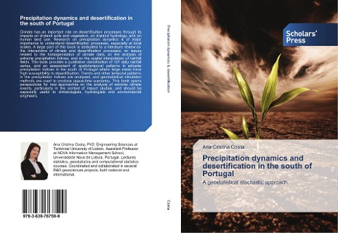 Precipitation dynamics and desertification in the south of Portugal: A geostatistical stochastic approach